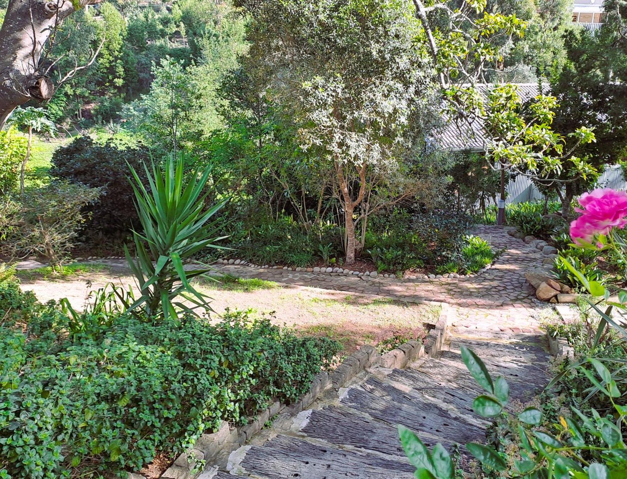 Badger'S Cottage Knysna Exterior foto